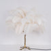 Ostrich Feather Table Lamp - Vakkerlight