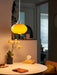 Oval Persimmon Pendant Light-DWHOME