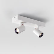 POG Double Linear Spotlight-DWHOME