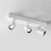 POG Double Linear Spotlight-DWHOME