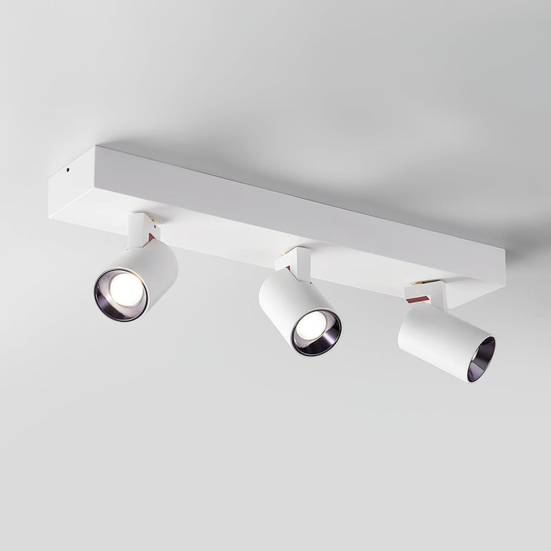 POG Double Linear Spotlight-DWHOME