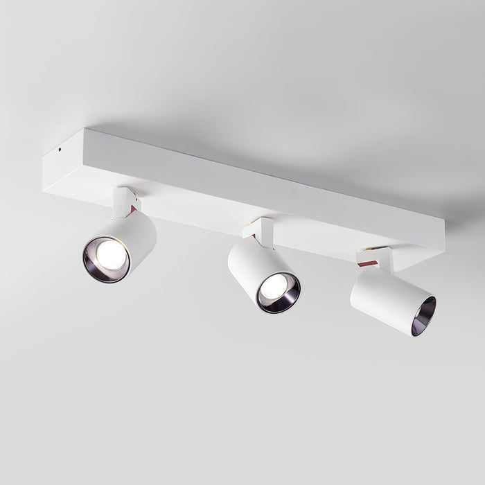 POG Double Linear Spotlight-DWHOME