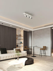POG Double Linear Spotlight-DWHOME