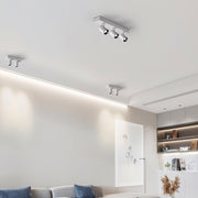POG Double Linear Spotlight-DWHOME