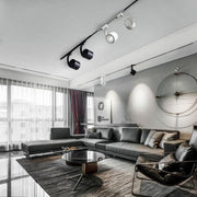 Paloma Ceiling Light-DWHOME