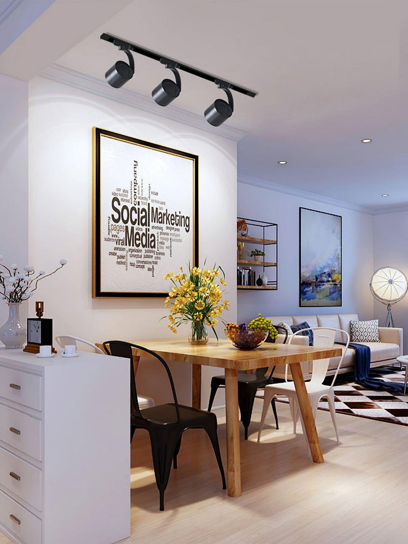 Paloma Ceiling Light-DWHOME