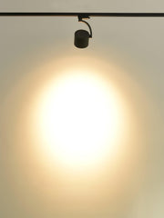 Paloma Ceiling Light-DWHOME