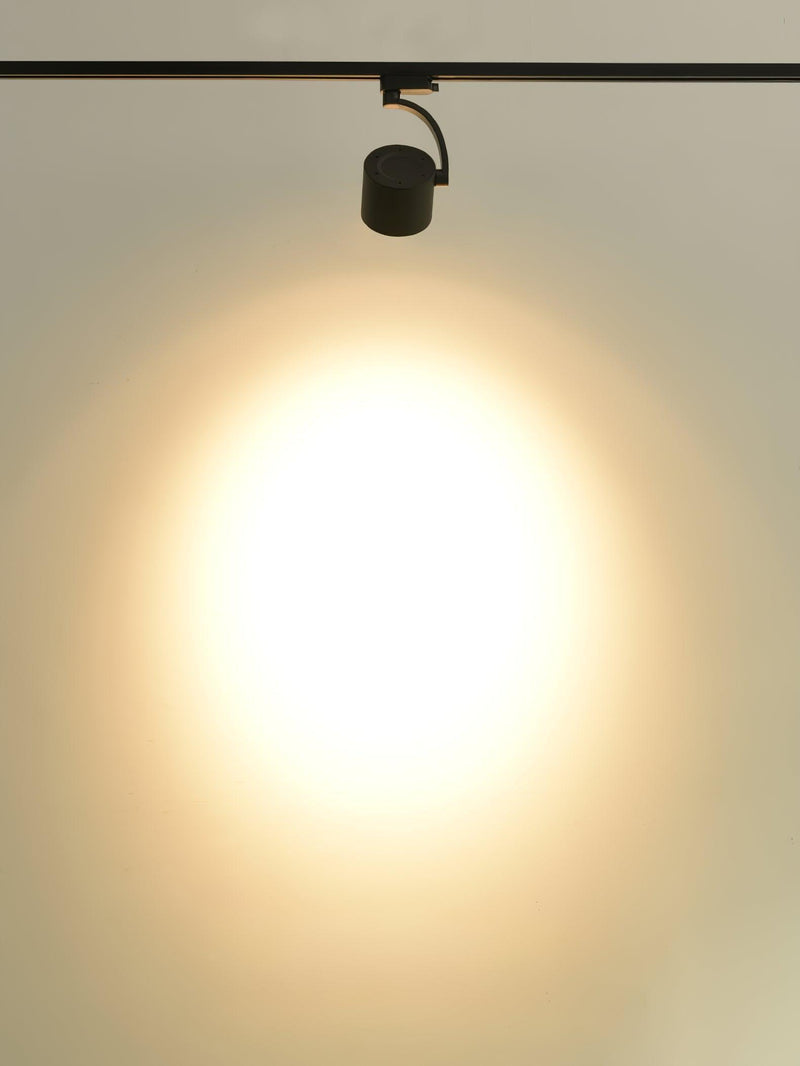 Paloma Ceiling Light-DWHOME