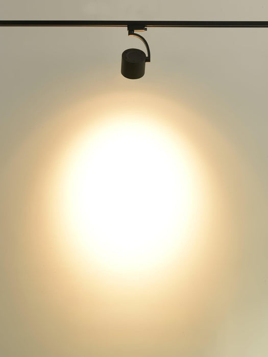 Paloma Ceiling Light - DWHOME