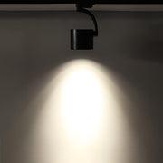 Paloma Ceiling Light-DWHOME