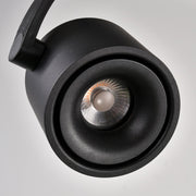 Paloma Ceiling Light-DWHOME