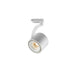 Paloma Ceiling Light - DWHOME