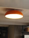 Pangen Ceiling Lamp.