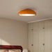 Pangen Ceiling Lamp.