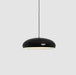 Pangen Pendant Lamp-DWHOME