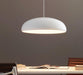 Pangen Pendant Lamp.