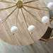 Papillon Chandelier-DWHOME