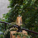 Pastry Built-in Battery Table Lamp-DWHOME
