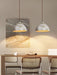 Pear Shape Ceramic Pendant Light.