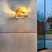 Pearl Clam Wall Light-DWHOME