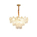 Pearl Glass Shell Chandelier-DWHOME