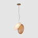 Translucent Frosted Glass Pendant Light-DWHOME