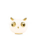 Pet Desk Light-DWHOME