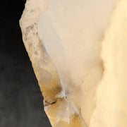 Petra Wall Lamp-DWHOME