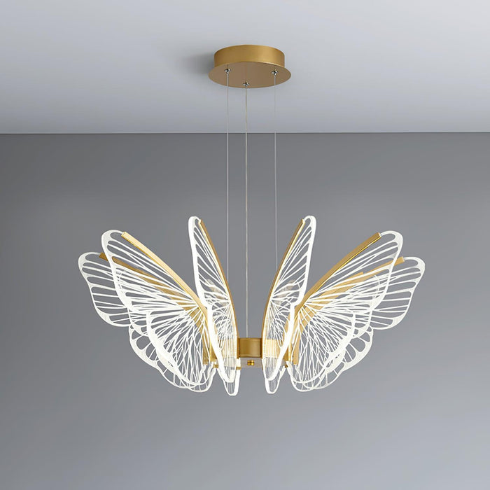 Phalaenopsis Chandelier-DWHOME