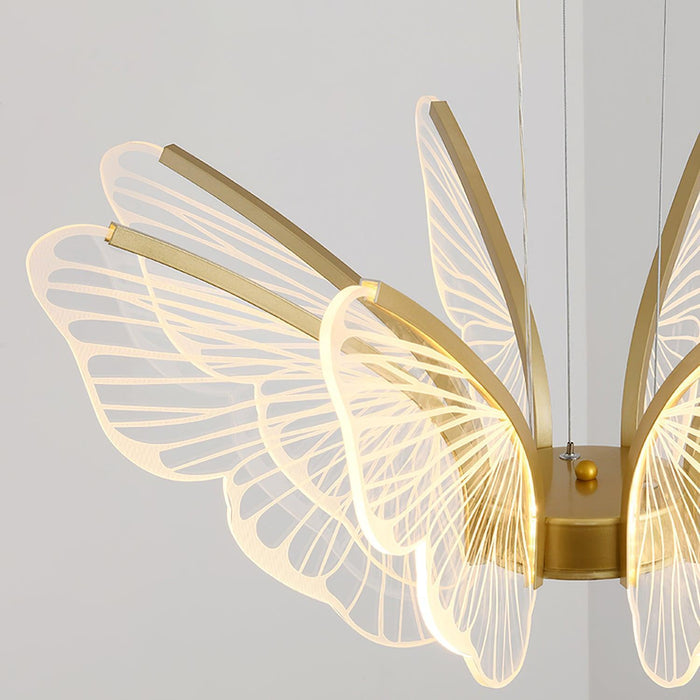 Phalaenopsis Chandelier-DWHOME