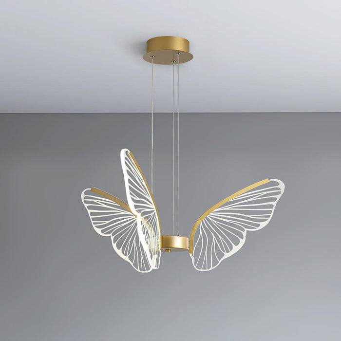 Phalaenopsis Chandelier-DWHOME