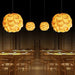 Pinecone Pendant Light-DWHOME