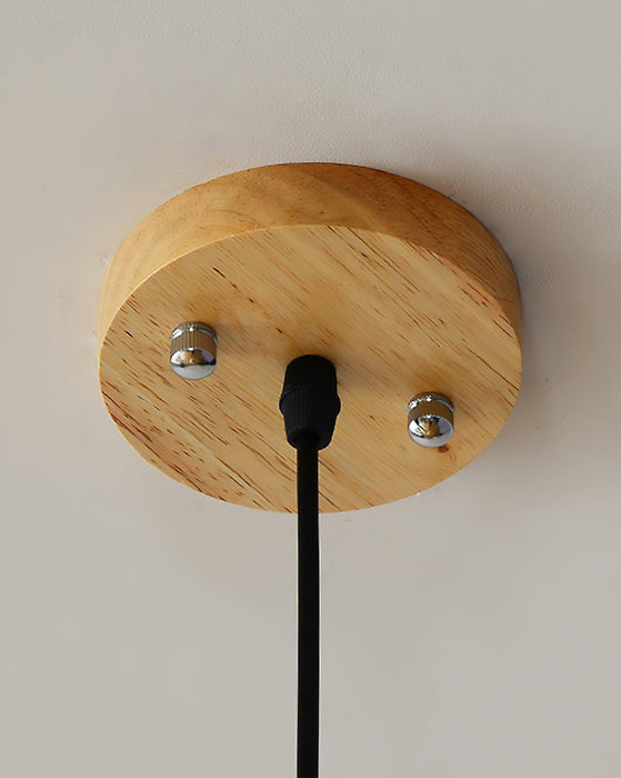 Pinecone Pendant Light-DWHOME