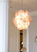 Pink Murano Disc Glass Chandelier-DWHOME