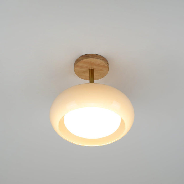 Plafonnier Ceiling Lamp - DWHOME