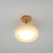 Plafonnier Ceiling Lamp - DWHOME