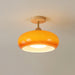 Plafonnier Ceiling Lamp - DWHOME