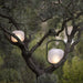 Portable Lantern Outdoor Table Lamp-DWHOME