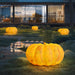 Portable Pumpkin Built-in Battery Table Lamp - DWHOME