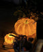 Portable Pumpkin Built-in Battery Table Lamp - DWHOME