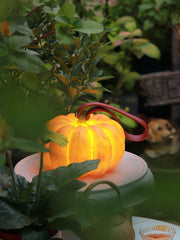 Portable Pumpkin Built-in Battery Table Lamp-DWHOME