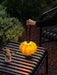 Portable Pumpkin Built-in Battery Table Lamp - Vakkerlight