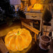 Portable Pumpkin Built-in Battery Table Lamp.