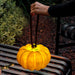 Portable Pumpkin Built-in Battery Table Lamp.