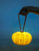 Portable Pumpkin Built-in Battery Table Lamp.