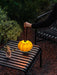 Portable Pumpkin Built-in Battery Table Lamp.