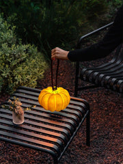 Portable Pumpkin Built-in Battery Table Lamp-DWHOME