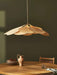 Precieuse Petals Pendant Lamp-DWHOME
