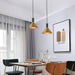 Cone Pendant Lamp-DWHOME