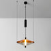 Proton Cone Pendant Lamp.